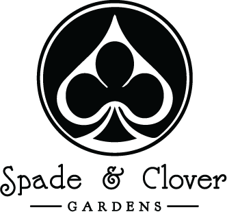 Spade and Clover Logo